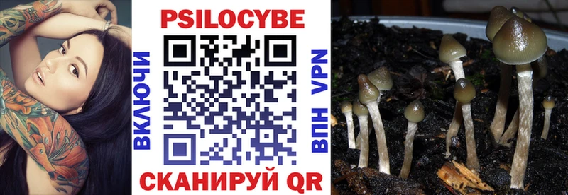 Псилоцибиновые грибы Magic Shrooms  Купить закладки  Псков